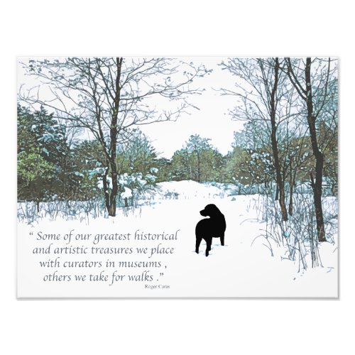 Dog Lover Quote _ Mans Best Friend _ Dog Quote Photo Print