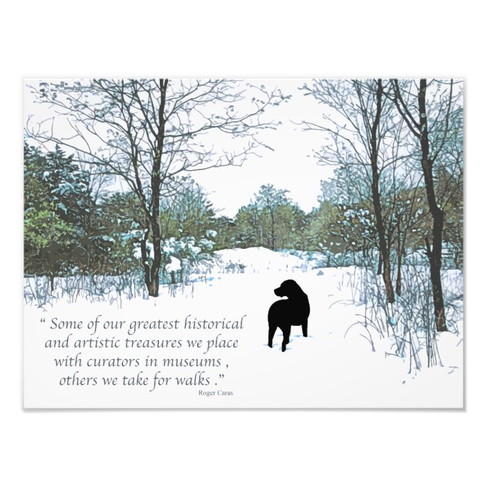Dog Lover Quote - Man's Best Friend - Dog Quote Photo Print | Zazzle.com