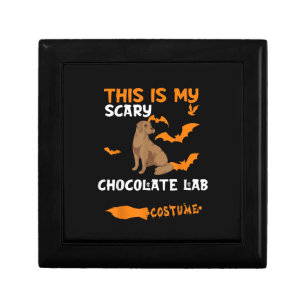 Dog Lover This Is My Scary Chocolate Lab Costume Gift Box