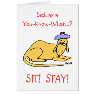 Dog Get Well Cards  Zazzle