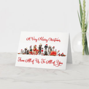 Dog Lovers Christmas Card, Family Name Holiday Card