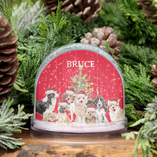 Dog Lovers Dacshund Fun Red Merry Christmas  Snow Globe