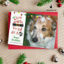 Dog Lovers, "Dear Santa, The Cat Did It"-1 Photo Holiday Card