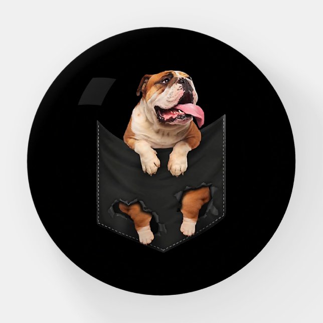 Dog Lovers | English Bulldog In Your Pocket Dogs Paperweight (Front)