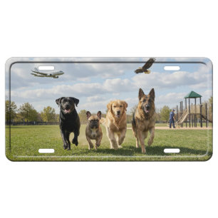 Dog Lovers License Plate