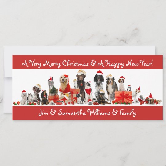 Dog Lovers - Merry Christmas Card | Zazzle.com