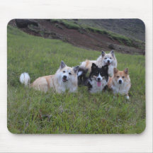 Dog lover's mousepad, customize