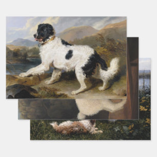 Dog Lovers (Pet Doggies and Canines) Selection Wrapping Paper Sheets
