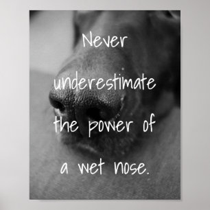 dog lovers quote the power of a wet nose poster