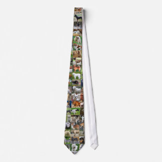 Dog Lover's Tie
