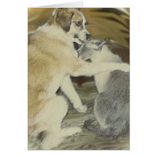 dog loves cat cards