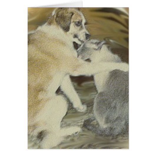 dog loves cat cards (Front)