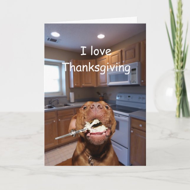 Dog loves Thanksgiving Holiday Card (Front)