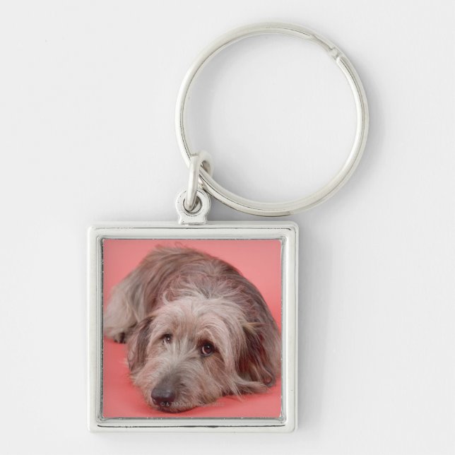 Dog lying down keychain (Front)