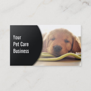 Dog Lying Down Pet Care Business Card