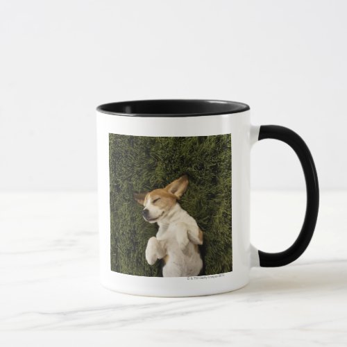 Dog Lying in Grass Sleeping Mug