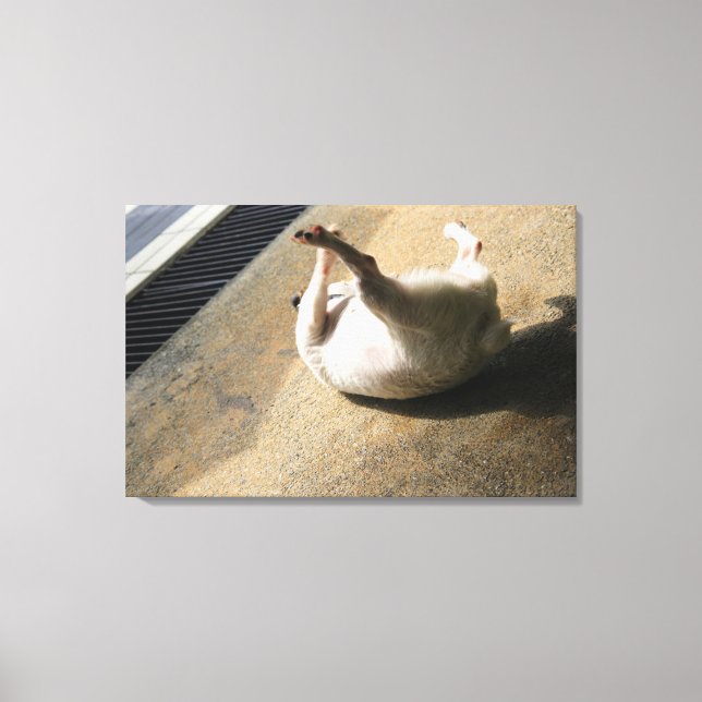Dog lying on the floor canvas print (Front)