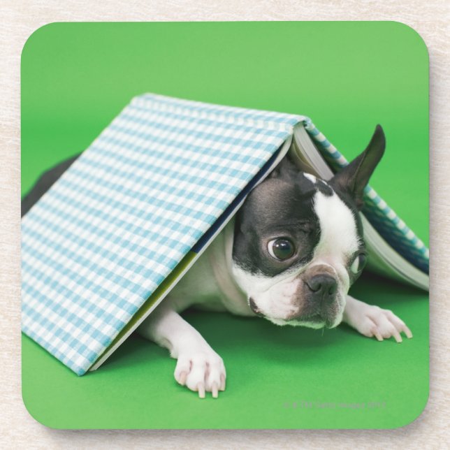Dog lying under book drink coaster (Front)