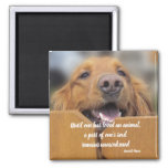Dog Magnet, Until One Has Loved Animal Quote Magnet at Zazzle