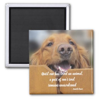 Dog Magnet  Until One Has Loved Animal Quote Magnet by JustLoveRescues at Zazzle
