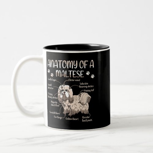 Dog Maltese Cute Pet Dog Definition Animal Anatomy Two_Tone Coffee Mug