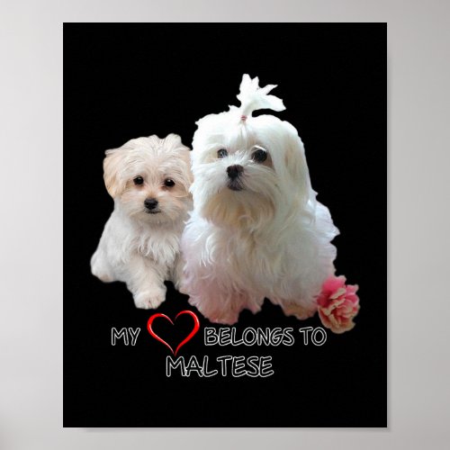 Dog Maltese Lovers Dogs Fan Love Design Quote Poster