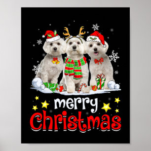 Dog Maltese Merry Christmas Cute Maltese Dog Chris Poster