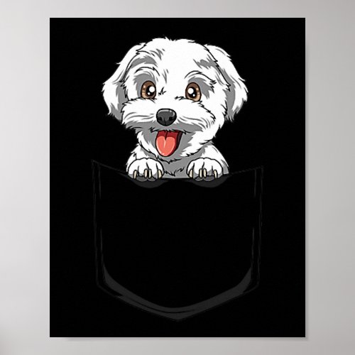 Dog Maltese Pocket Maltese Peeking Out Pocket Malt Poster