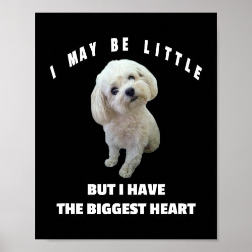 Dog Maltese Small Maltese Dog Design Funny Quote M Poster