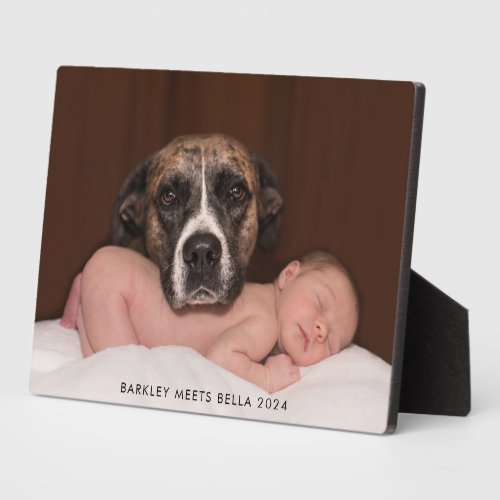Dog Meets New Baby Plaque