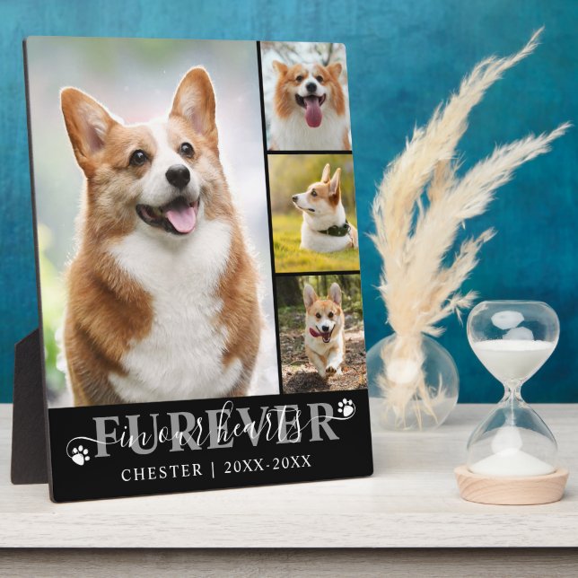 Dog Memorial 4 Photo FUREVER IN OUR HEARTS Plaque (Side)