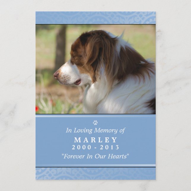 Dog Memorial 5x7 Light Blue Don't Grieve Poem Program (Front)