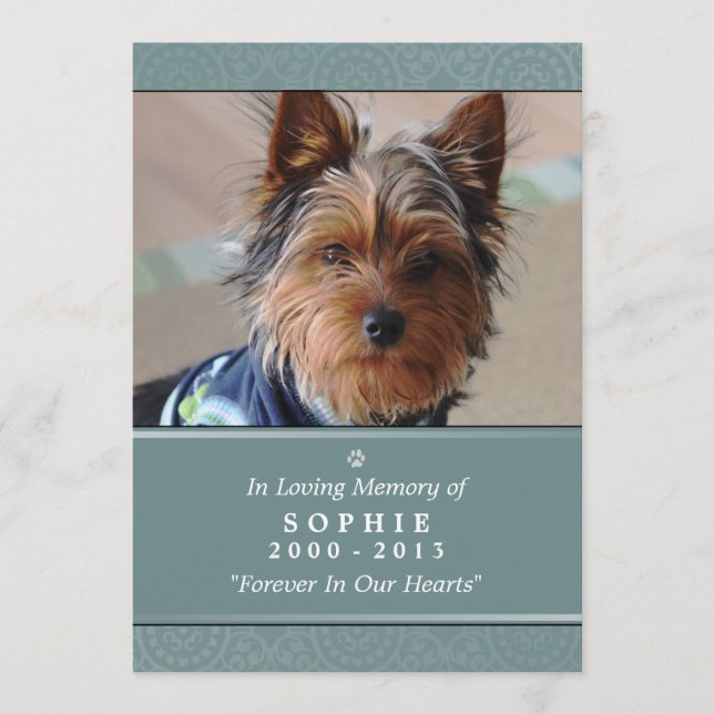 Dog Memorial Card 5x7 Teal Don't Grieve Poem (Front)