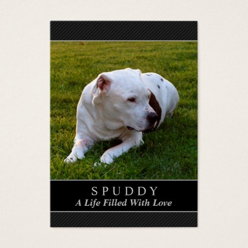 Dog Memorial Card - Modern Black Photo Card Business Card
