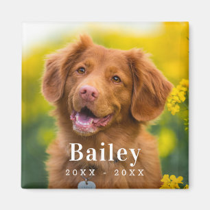 Dog Memorial Custom Pet Photo Fridge Magnet