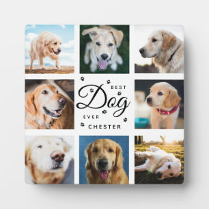 Dog Memorial Gift Best Dog Ever Modern Photo Paw Plaque