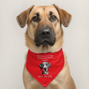 Dog Memorial Gift    Pet Memorial Bandana Collar