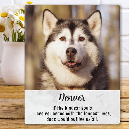 Dog Memorial Personalized Photo Pet Loss Sympathy Plaque