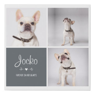 Dog Memorial Pet Loss Keepsake Photo Collage Faux Canvas Print