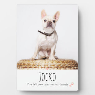 Dog Memorial Pet Loss Keepsake Photo Personalized Plaque