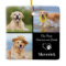 Dog Memorial Pet Loss Personalized 3 Photo Collage