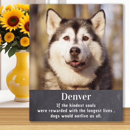 Dog Memorial _ Pet Loss Sympathy _ Custom Photo Plaque