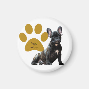 Dog Memorial Photo Personalized Magnet