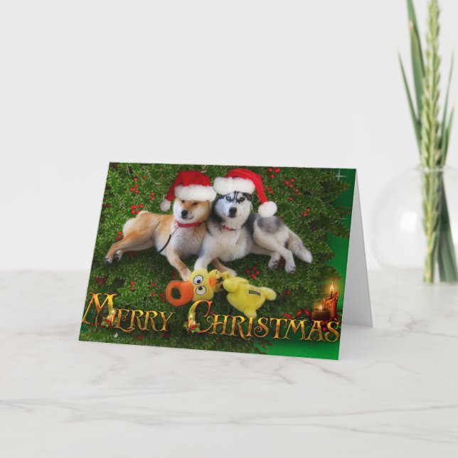 Dog Merry Christmas Card (Front)
