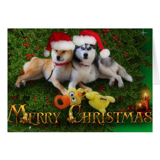 Dog Merry Christmas Card | Zazzle