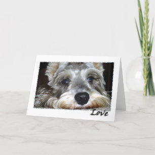 DOG: Mini German Schnauzer w/Love Card
