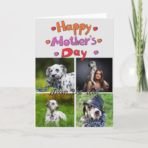 Dog mom4 photo custom collage card