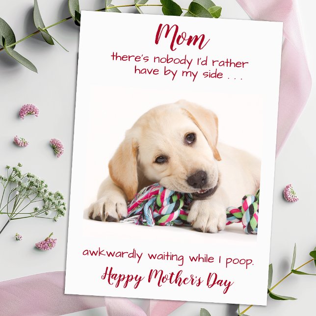 Dog Mom Funny Pet Photo Personalized Mothers Day Holiday Card (Creator Uploaded)