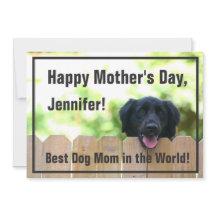 Dog Mom | Happy Mother's Day