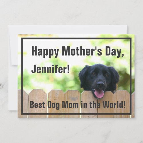 Dog Mom  Happy Mothers Day Card